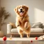 7 jeux pour fatiguer son chien rapidement et même en appartement