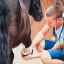 Comment prendre bien soin des pieds de votre cheval ?