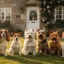 Petit chien anglais : 8 races britanniques à connaître avant d&rsquo;adopter